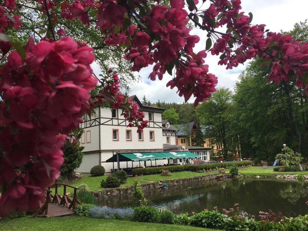 Spa & Wellness Hotel Harmonie Marianske Lazne Exterior foto